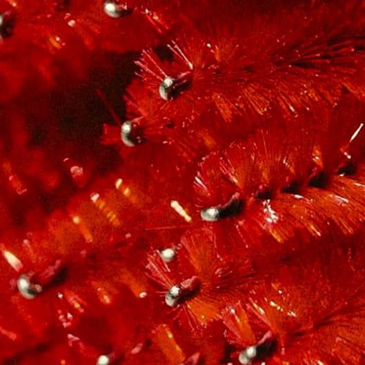 Holiday package at Glamour by D in Sunnyvale, CA